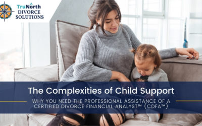 The Complexities of Child Support