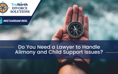 IG Reel: Do You Need a Lawyer to Handle Alimony and Child Support Issues?