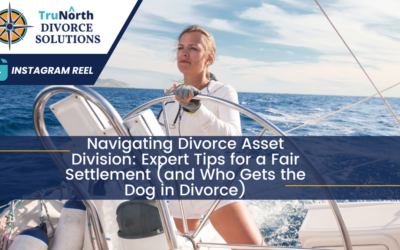 Navigating Divorce Asset Division: Expert Tips for a Fair Settlement (and Who Gets the Dog in Divorce)