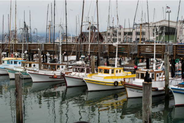 Dock and File copy